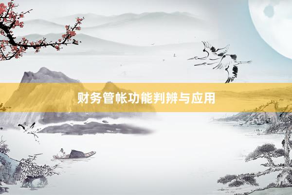 财务管帐功能判辨与应用
